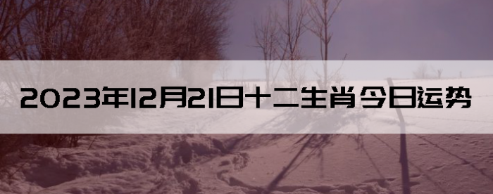 20231121ʮФÿ