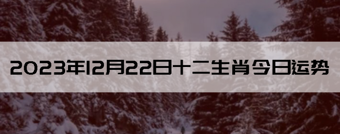 20231222ʮФÿ