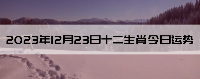 20231223ʮФÿ
