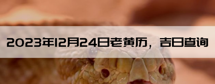20231224ϻղѯ