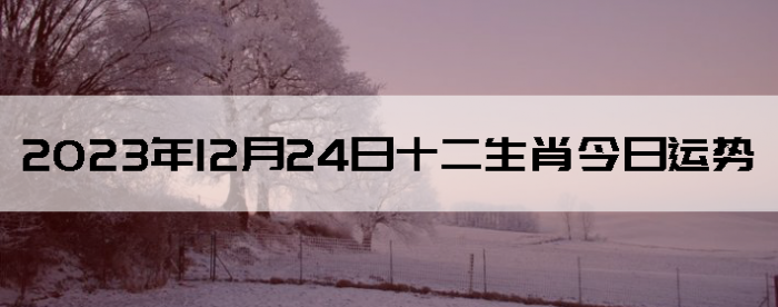 20231224ʮФÿ