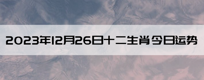 20231226ʮФÿ