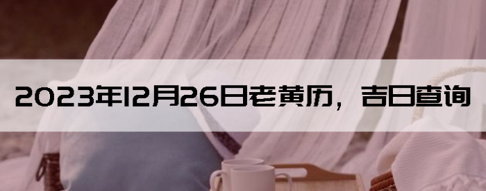 20231226ϻղѯ