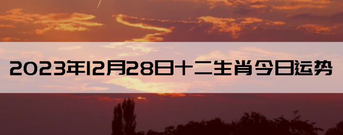 20231228ʮÿФ