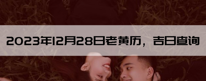 20231228ϻղѯ