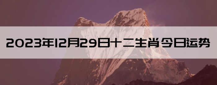 20231229ʮÿФ
