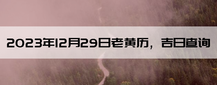 20231229ϻղѯ