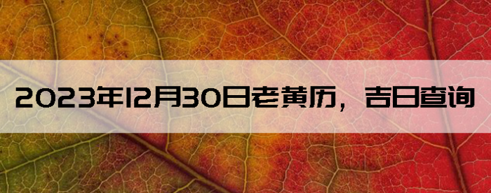20231230ϻղѯ