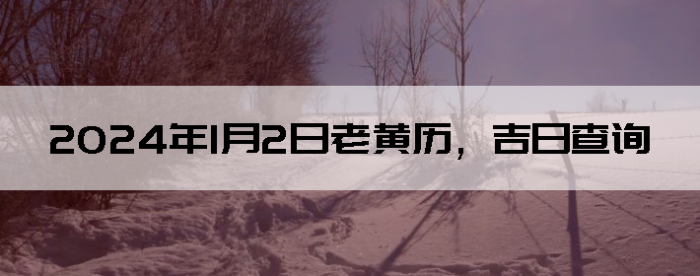 202412ϻղѯ