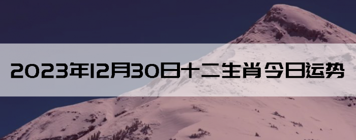 20231230ʮФÿ