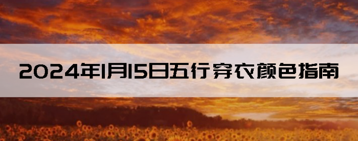 2024115дɫָ