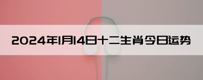 2024114ʮФ