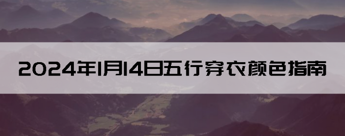 2024114дɫָ