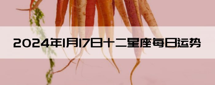 2024117ʮФÿ