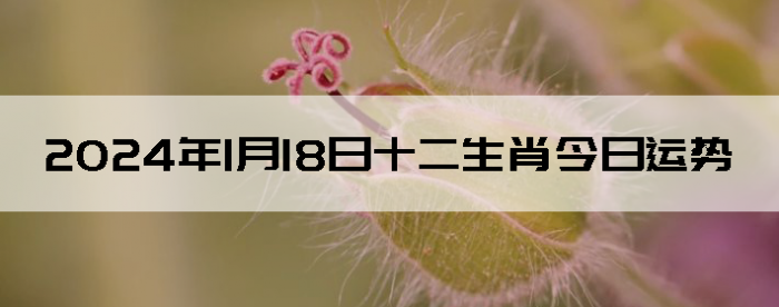 2024118ʮФÿ