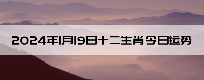 2024119ʮФ