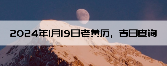 2024119ϻղѯ