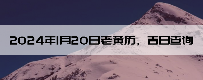 2024120ϻղѯ