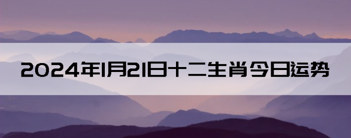 2024121ʮФ