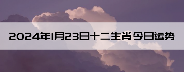 2024123ʮФÿ