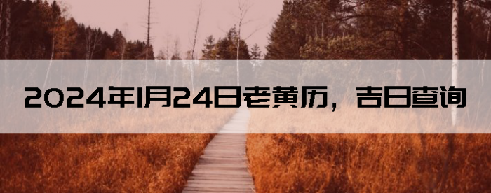 2024124ϻղѯ