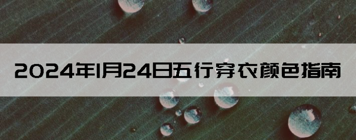 2024124дɫָ