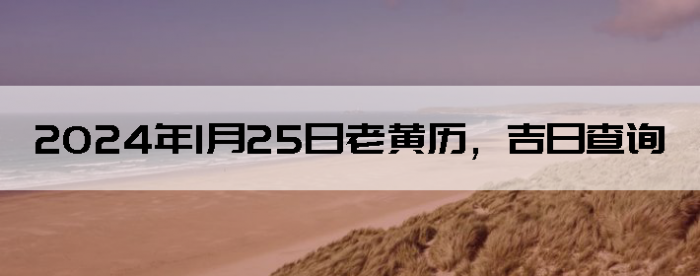 2024125ϻղѯ