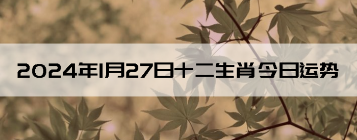 2024127ʮФ