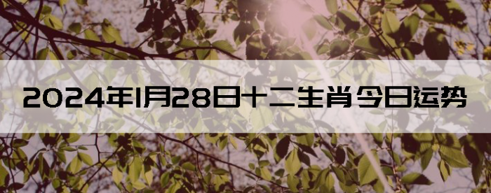 2024128ʮФ