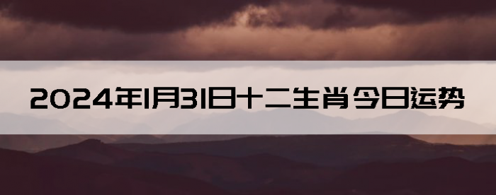 2024131ʮФ