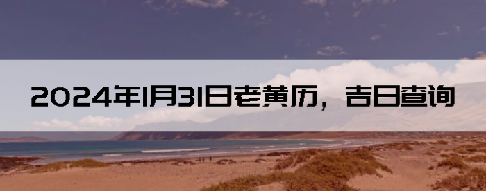 2024131ϻղѯ