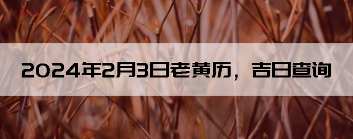 202423ϻղѯ