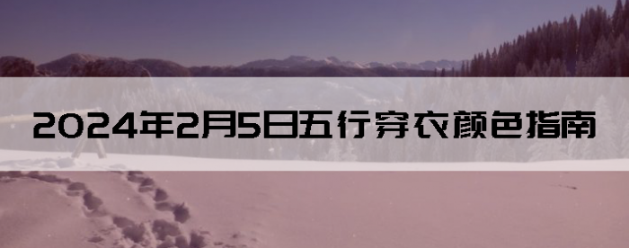 202425дɫָ
