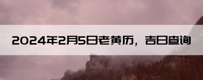 202425ϻղѯ