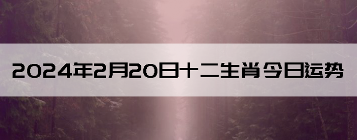 2024220ʮФ