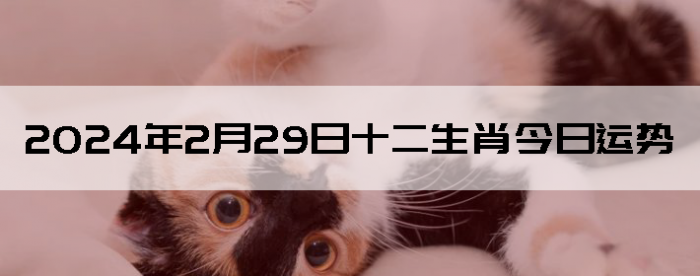 2024229ʮФ