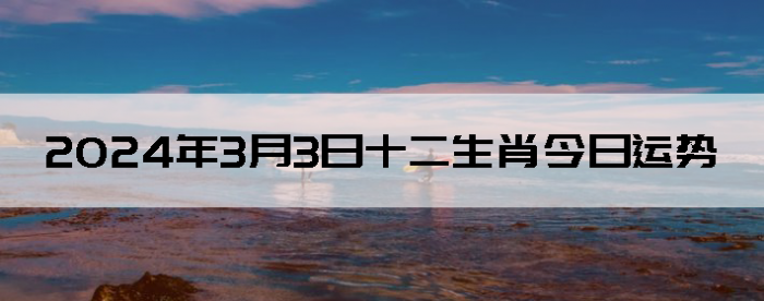 202433ʮФ
