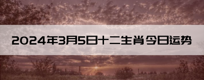 202435ʮФ