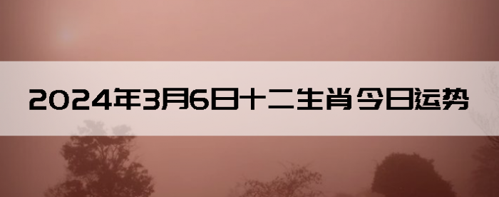 202436ʮФ