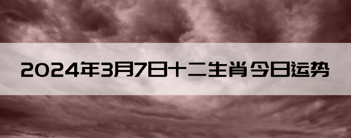 202437ʮФ