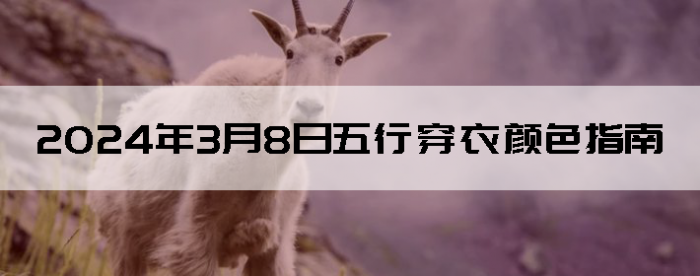 202438дɫָ