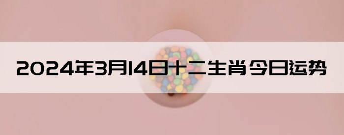 2024314ʮФ