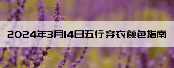 2024314дɫָ