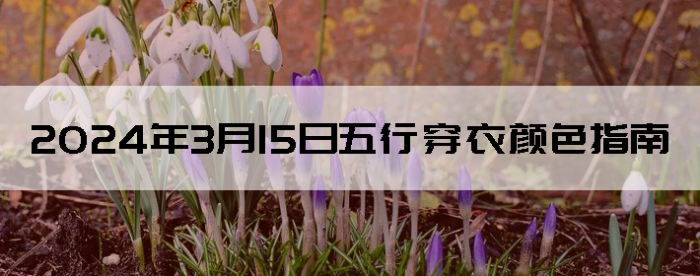 2024315дɫָ