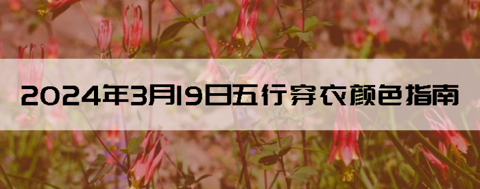 2024319дɫָ