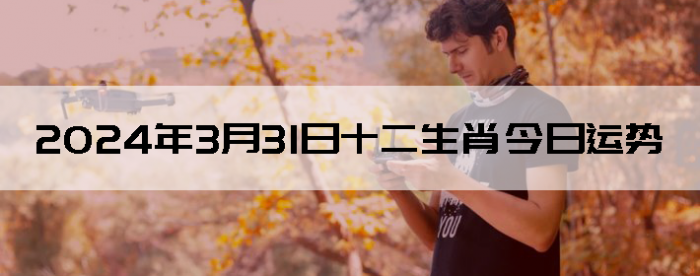 2024331ʮФ