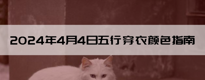 202444дɫָ