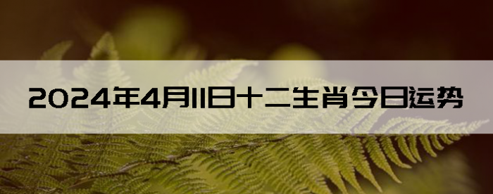 2024411ʮФ
