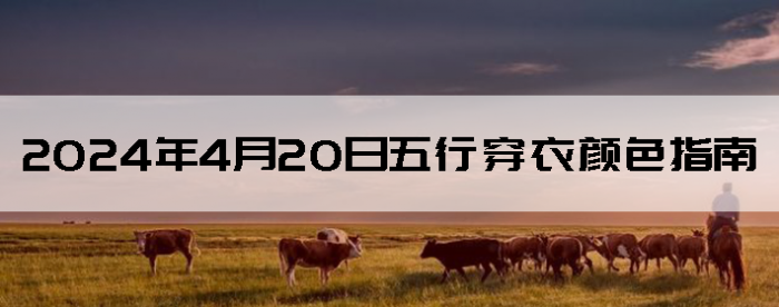 2024420дɫָ