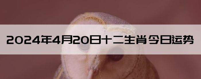 2024420ʮФ